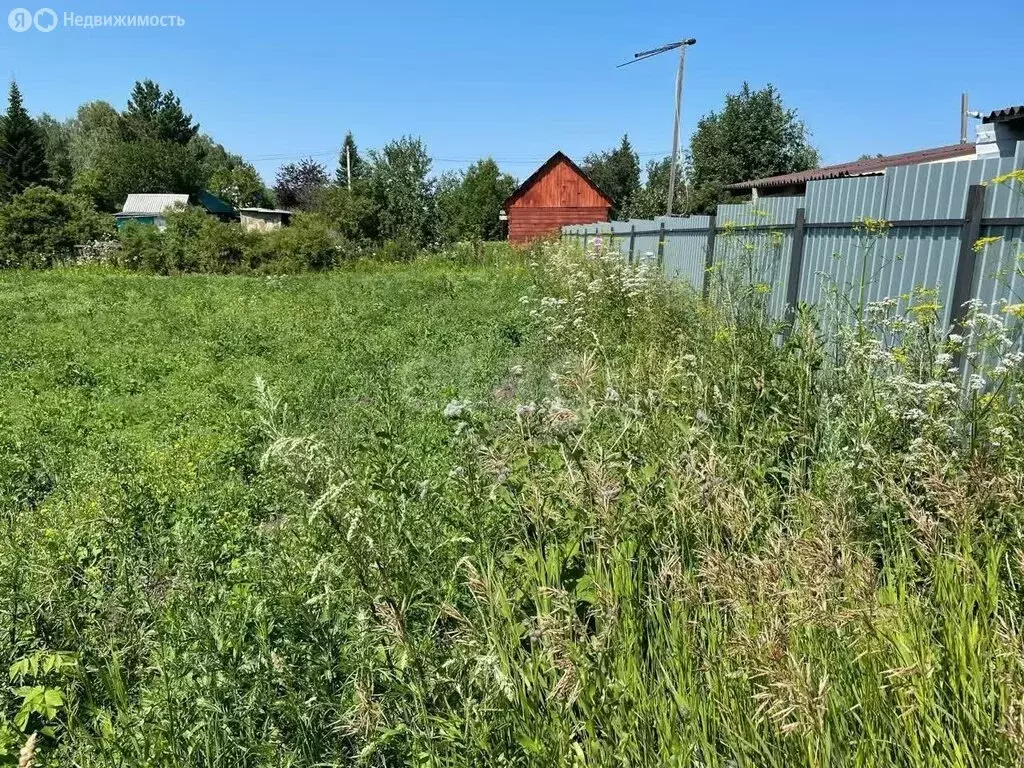 Участок в Раздольненский сельсовет, садовое некоммерческое ... - Фото 2