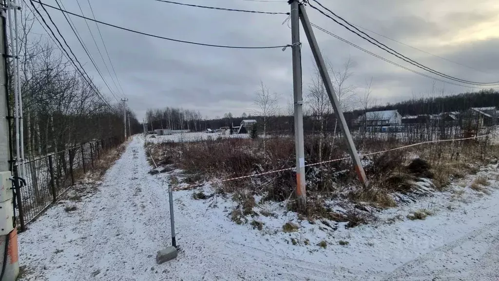 Участок в Москва № 112 кв-л,  (10.0 сот.) - Фото 2