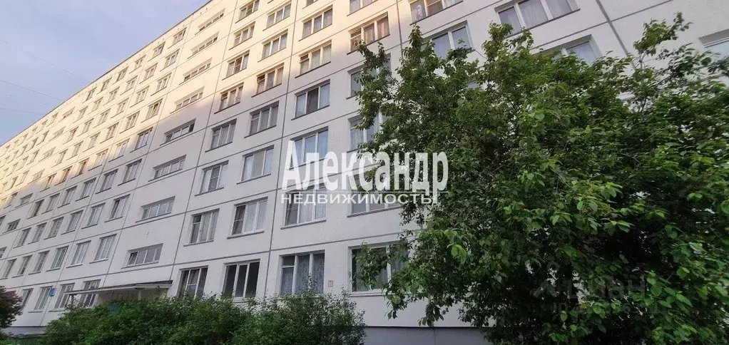 Комната Санкт-Петербург ул. Подвойского, 29к1Б (12.0 м) - Фото 0
