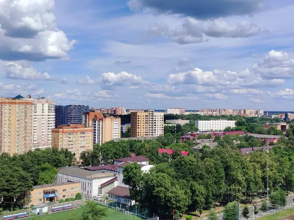 1-к кв. Московская область, Раменское Высоковольтная ул., 22 (42.6 м) - Фото 2