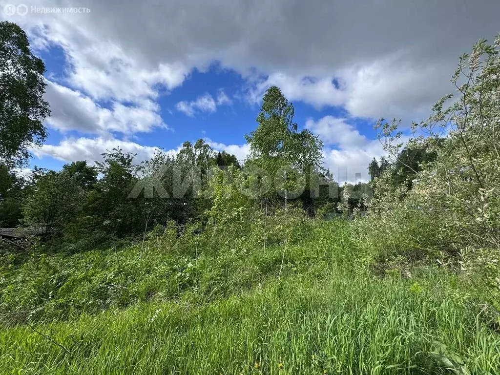 Участок в Томский район, село Коларово, Советская улица (10 м) - Фото 0