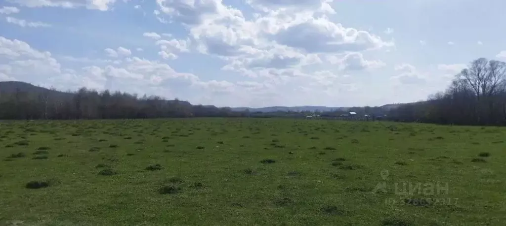 Участок в Башкортостан, Ишимбайский район, Макаровский сельсовет, с. ... - Фото 1