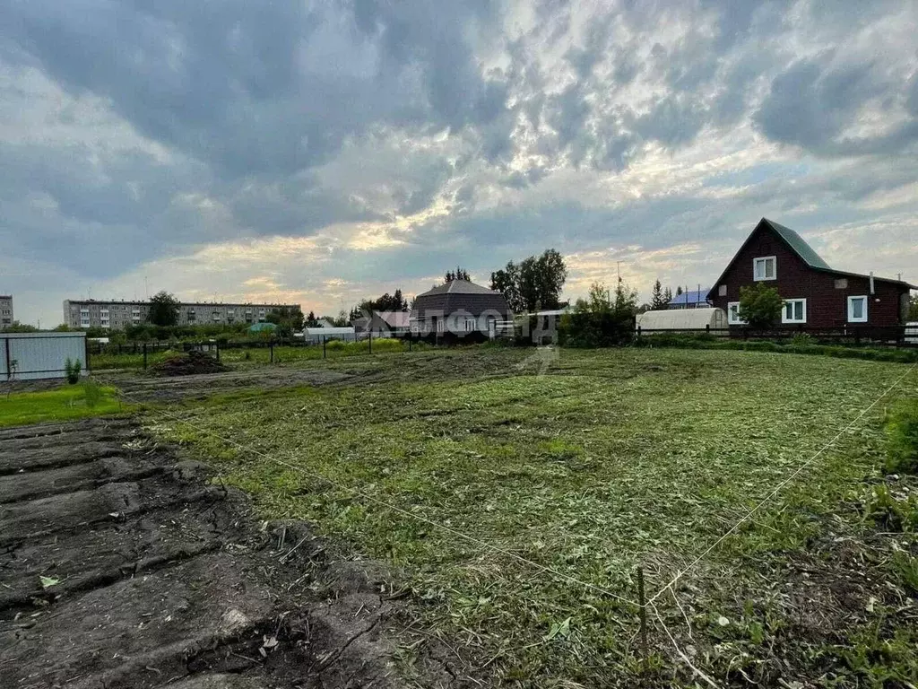 Участок в Новосибирская область, Новосибирский район, Станционный ... - Фото 0