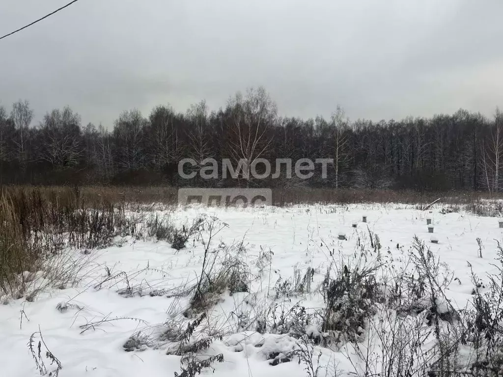 Участок в Владимирская область, Владимир ул. Селецкий Вал (9.75 сот.) - Фото 0