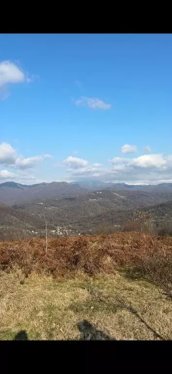 Участок в Краснодарский край, Сочи городской округ, с. ... - Фото 1