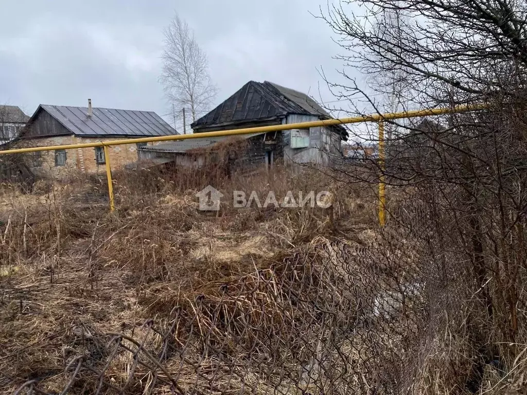 Участок в Пензенская область, с. Бессоновка ул. Кавказ, 24 (13.0 сот.) - Фото 2