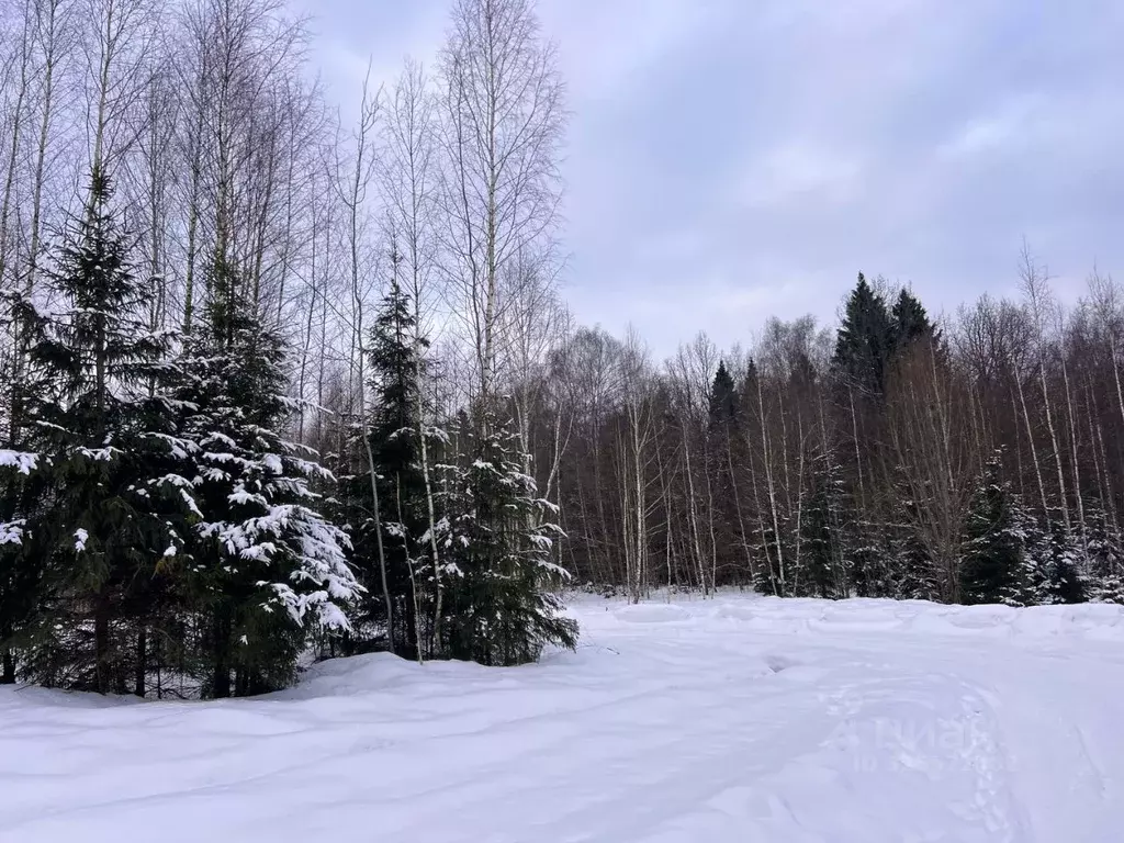 Участок в Московская область, Дмитровский муниципальный округ, Сбоево ... - Фото 1