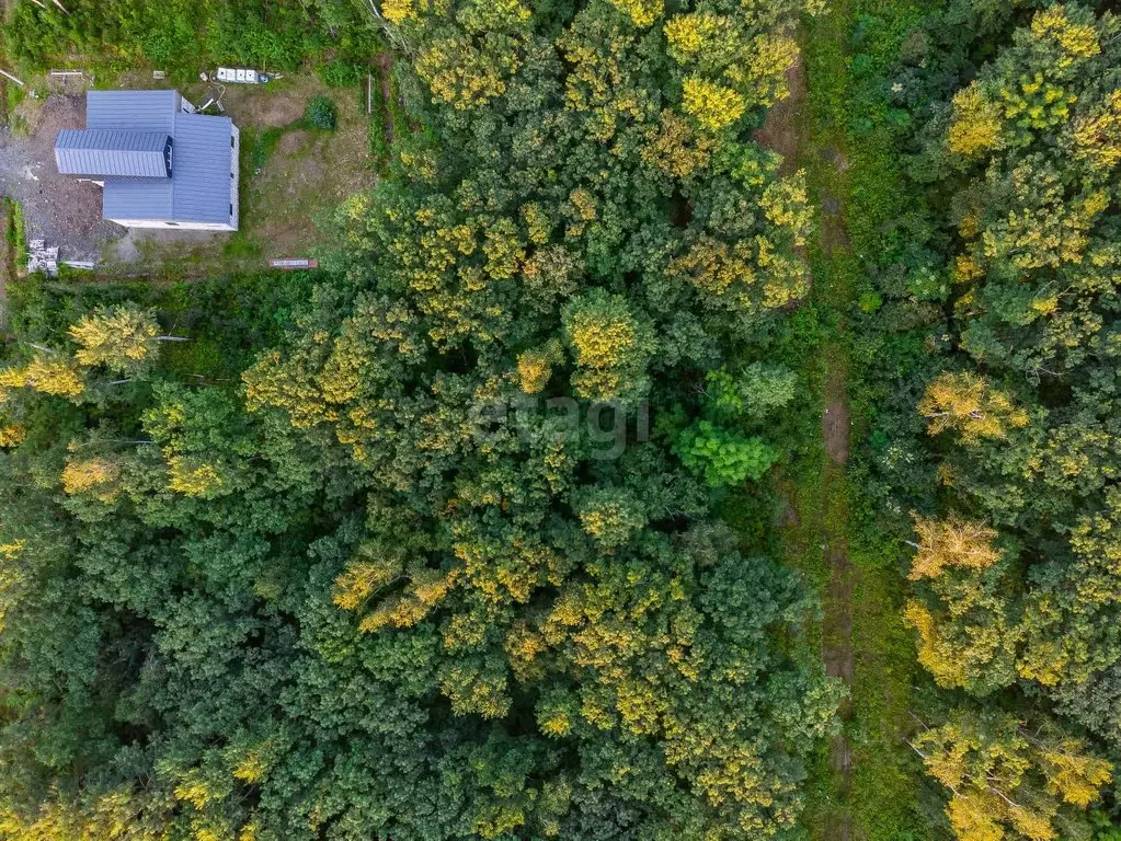 Участок в Хабаровский край, Хабаровский район, с. Некрасовка  (14.7 ... - Фото 1