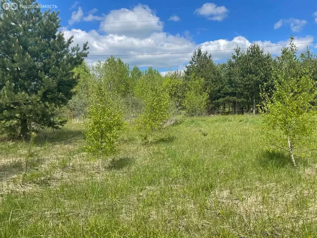 Участок в Раменское, улица Сергия Радонежского (9.87 м) - Фото 1