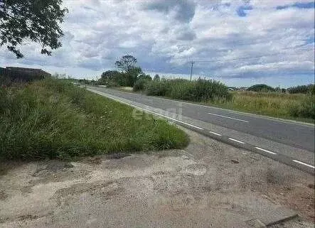 Участок в Калининградская область, Зеленоградский муниципальный округ, ... - Фото 1