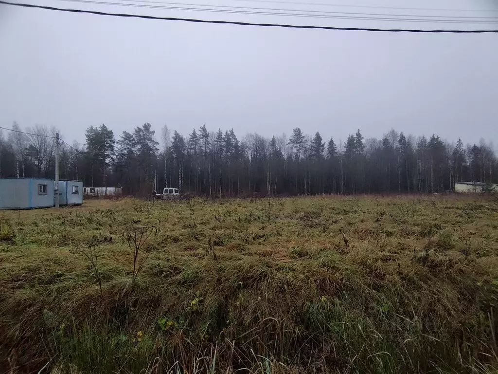Участок в Ленинградская область, Тосненский район, Федоровское ... - Фото 1