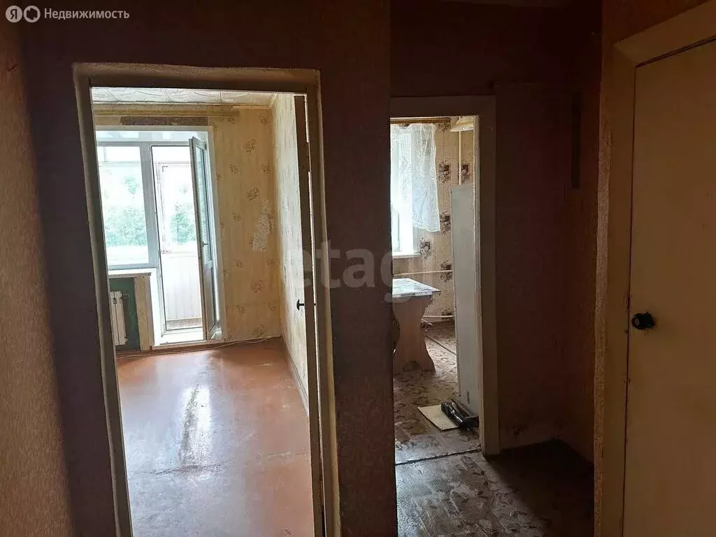 1-комнатная квартира: Киреевский район, сельское поселение ... - Фото 2