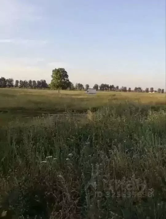 Участок в Воронежская область, Воронеж Никольское мкр, ул. Глинки (6.3 ... - Фото 2