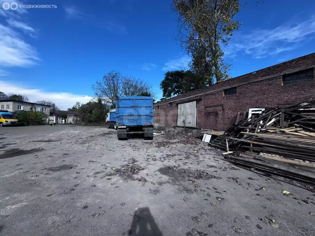 Помещение свободного назначения (262 м) - Фото 1