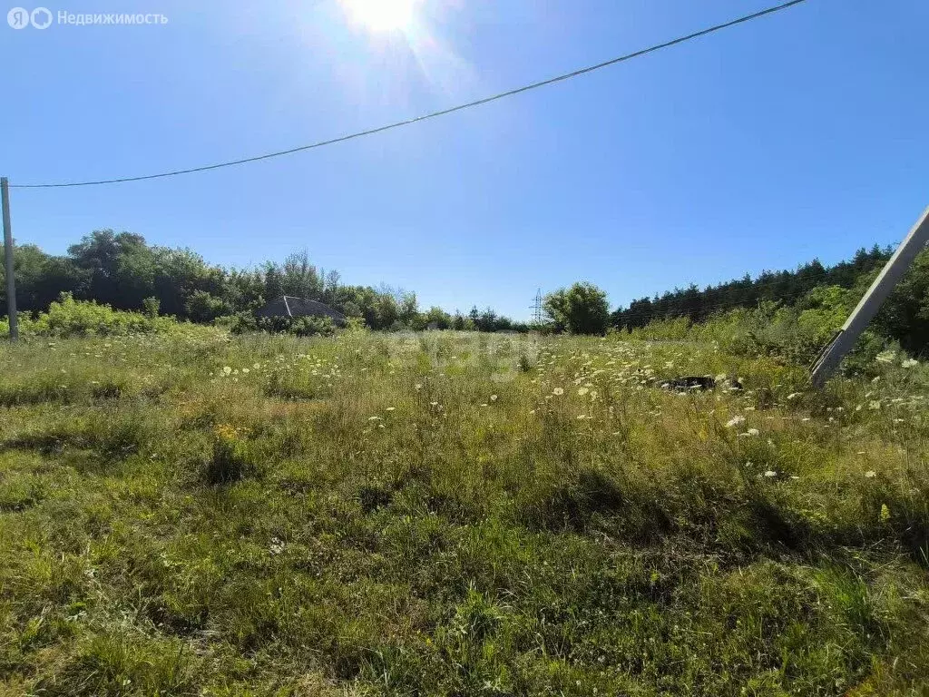 Участок в село Каплино, Сосновая улица (15 м) - Фото 1