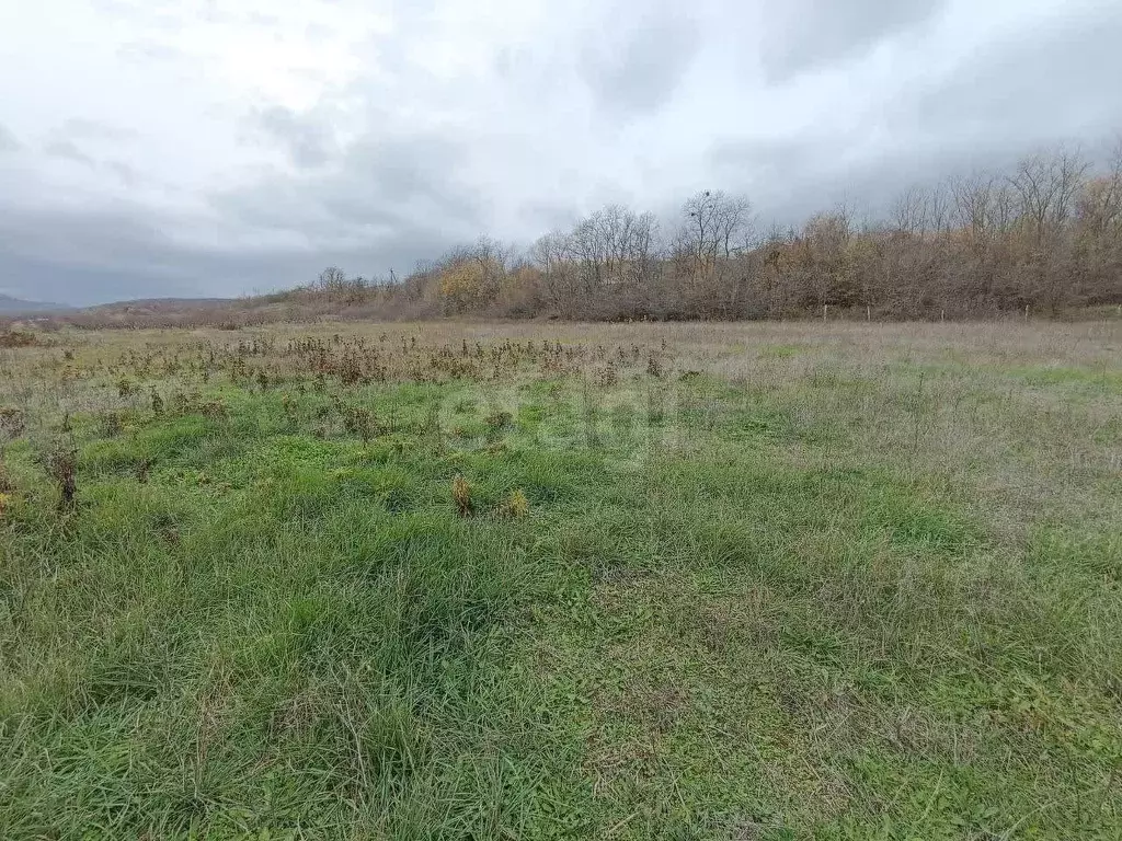 Участок в Крым, Симферопольский район, Добровское с/пос, с. ... - Фото 2