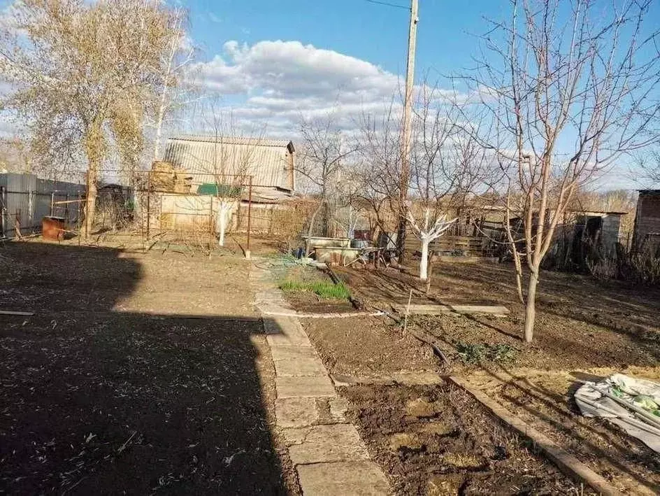 Участок в Оренбургская область, Оренбург Лесные Дачи СТ, 184 (6.0 ... - Фото 0