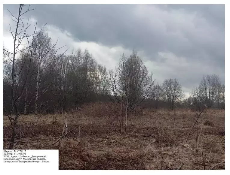 Участок в Калужская область, Мещовск городское поселение, д. ... - Фото 0