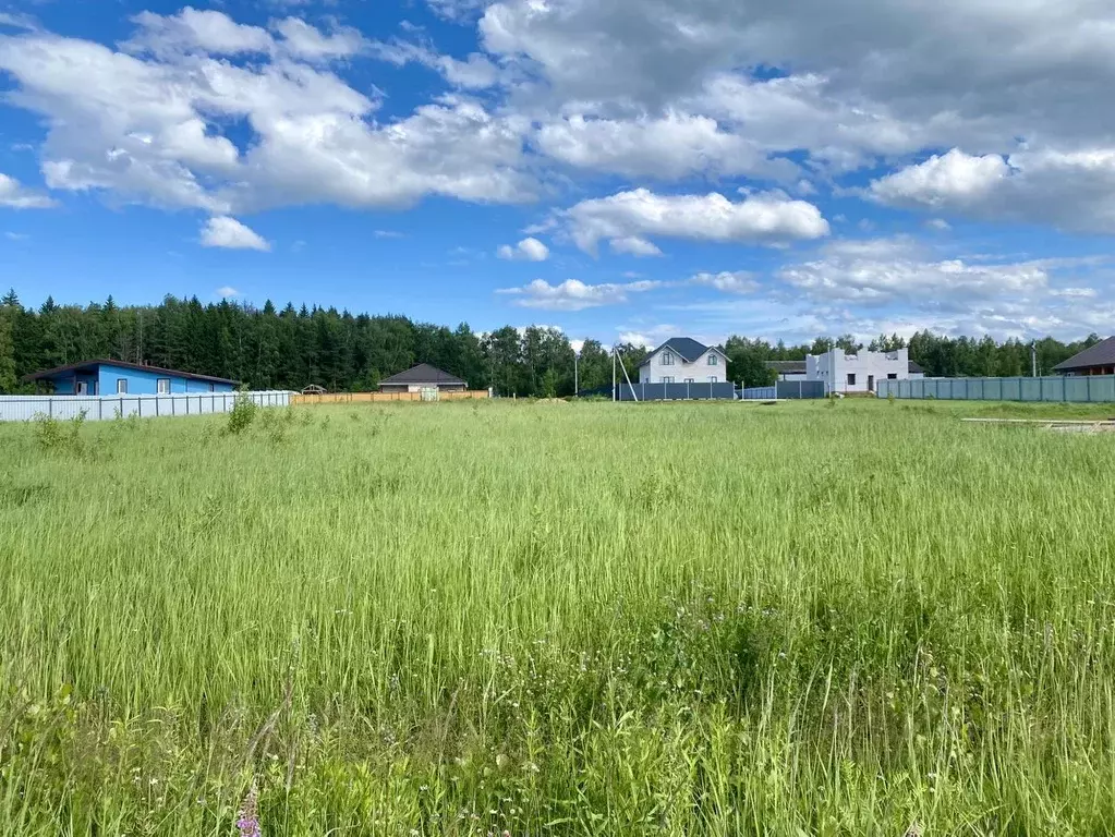 участок в владимирская область, александров (8.0 сот.) - Фото 1