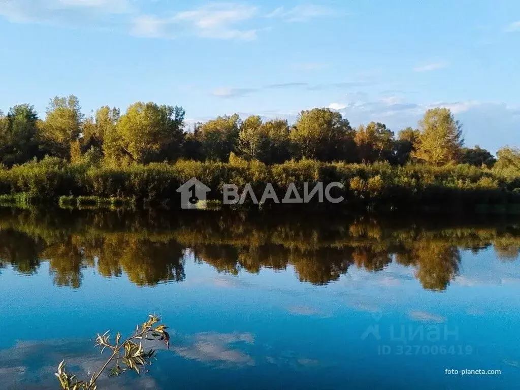 Участок в Башкортостан, Гафурийский район, Белоозерский сельсовет, с. ... - Фото 2