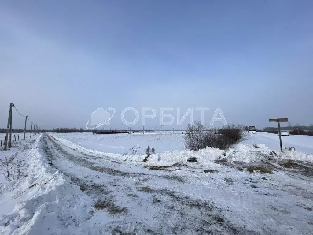 Участок в Тюменская область, Тюменский муниципальный округ, ... - Фото 0
