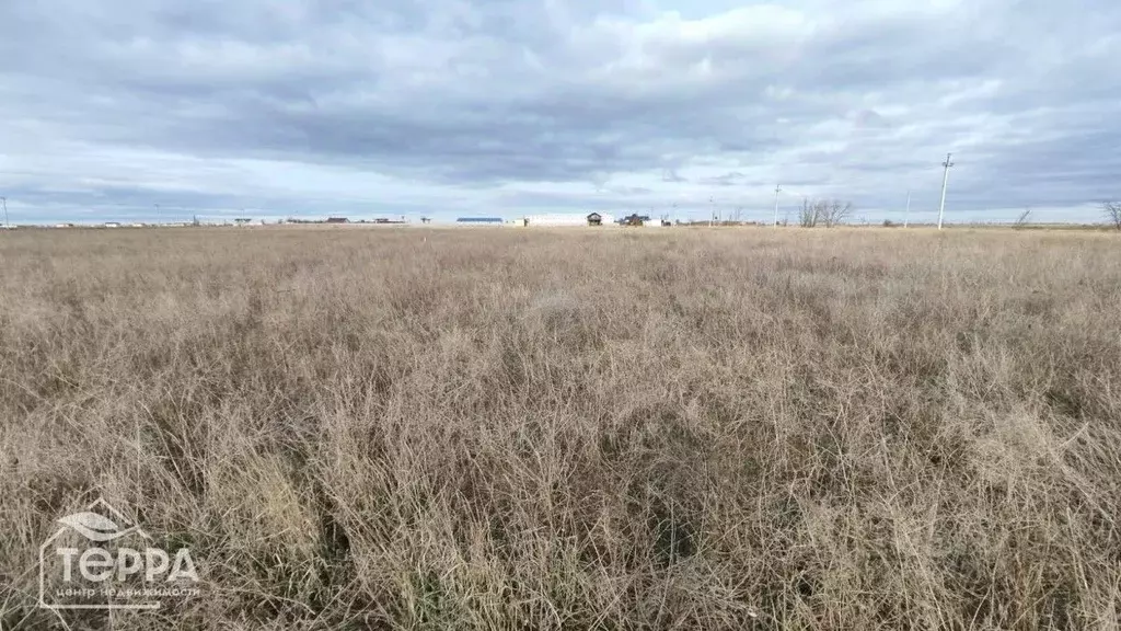 Участок в Крым, Черноморский район, с. Окуневка ул. Крупской (6.0 ... - Фото 0