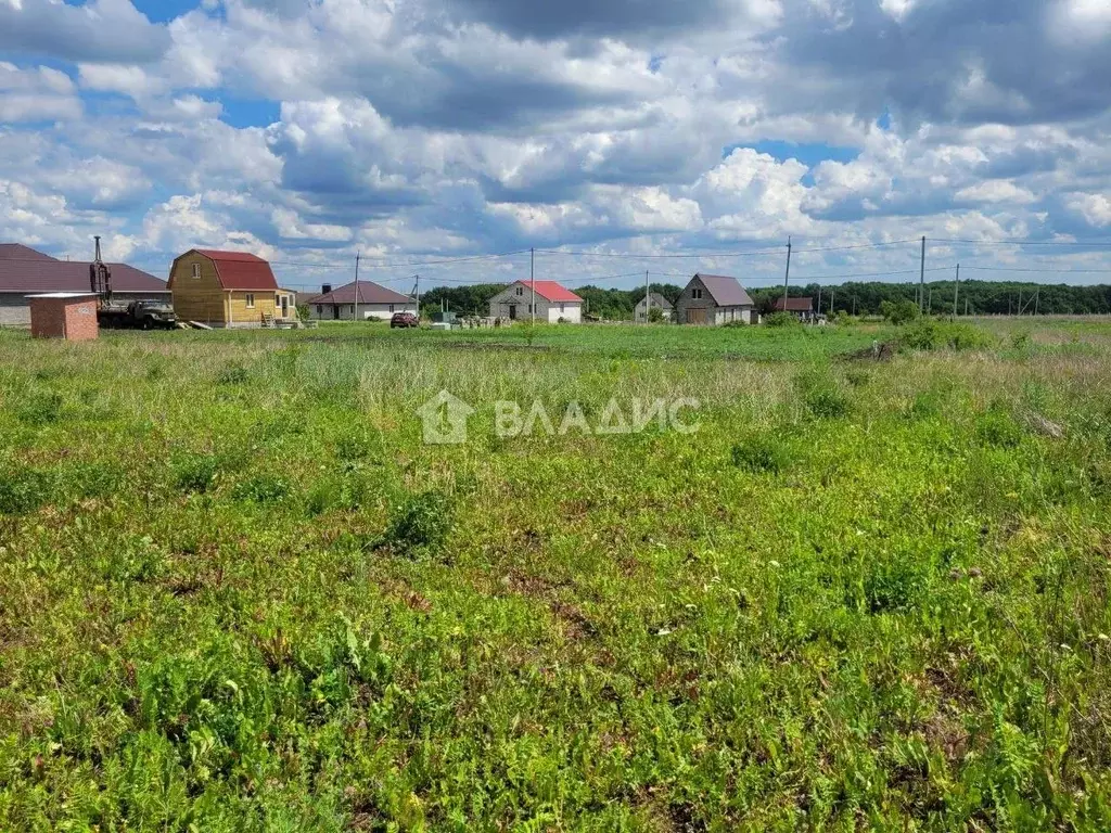 Участок в Белгородская область, Яковлевский городской округ, с. ... - Фото 1