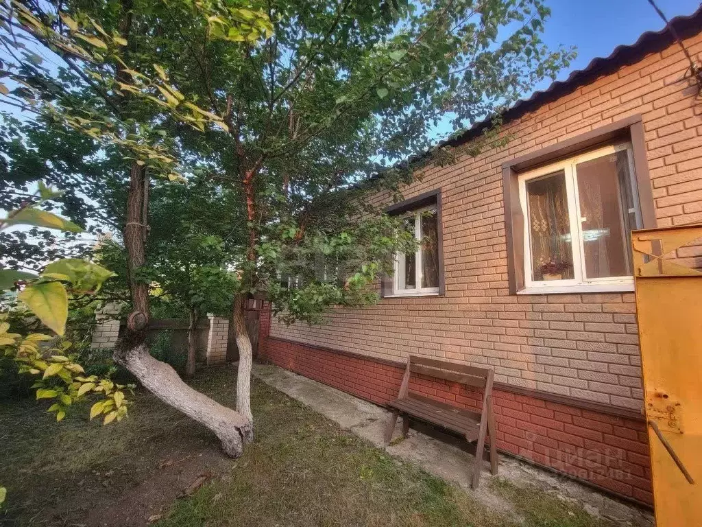 Дом в Белгородская область, Вейделевка рп ул. Первомайская, 21 (44 м) - Фото 1