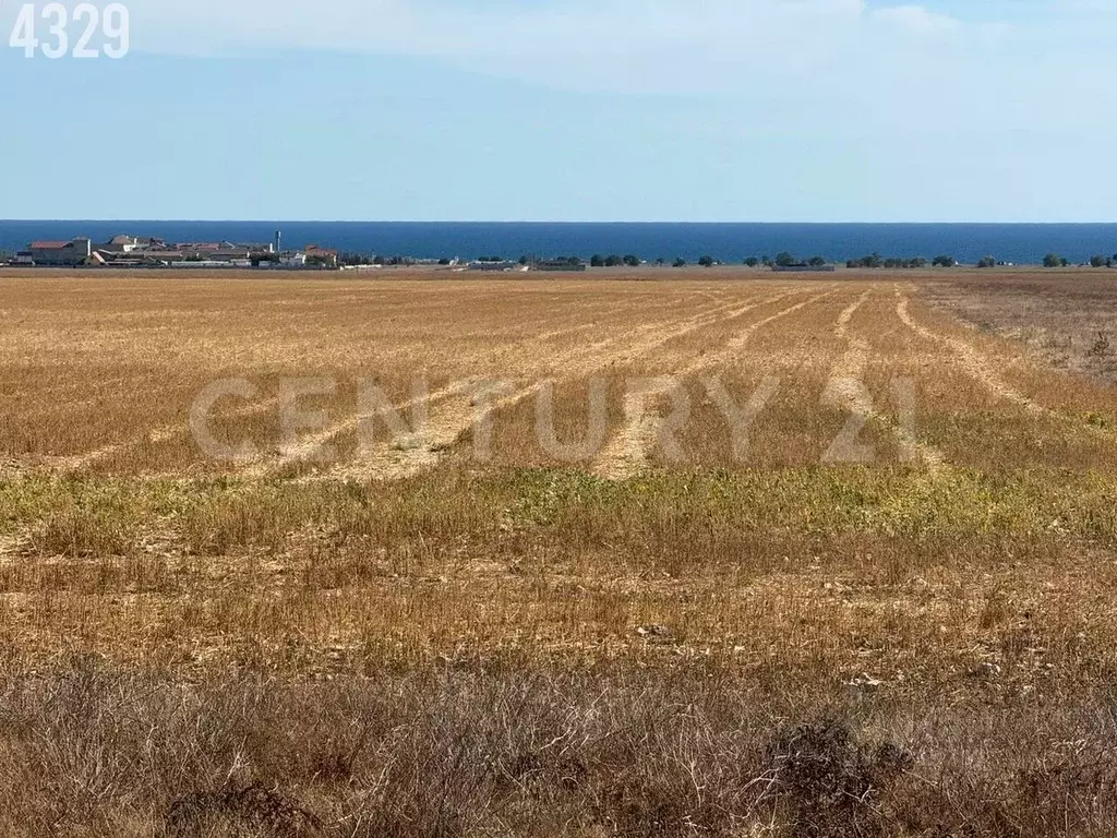 Участок в Крым, Черноморский район, Окуневское с/пос, Золотой Крым кп  ... - Фото 2
