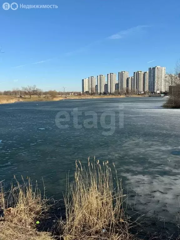 1-комнатная квартира: Санкт-Петербург, Измайловский бульвар, 11 (33.8 ... - Фото 2