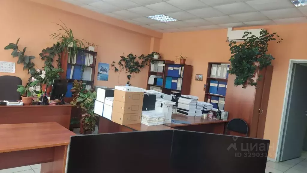 Офис в Кемеровская область, Кемерово Карболитовская ул., 16А (37 м) - Фото 2