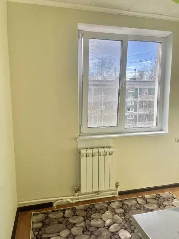 1-к кв. Московская область, Солнечногорск Рекинцо мкр, 22 (29.2 м) - Фото 2