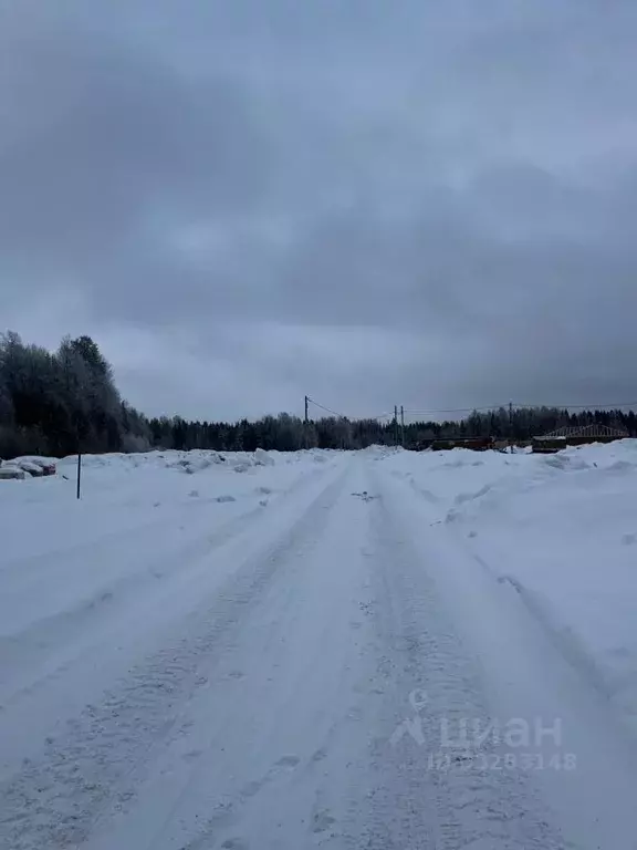 Участок в Кировская область, Киров городской округ, д. Верхнее Скопино ... - Фото 1