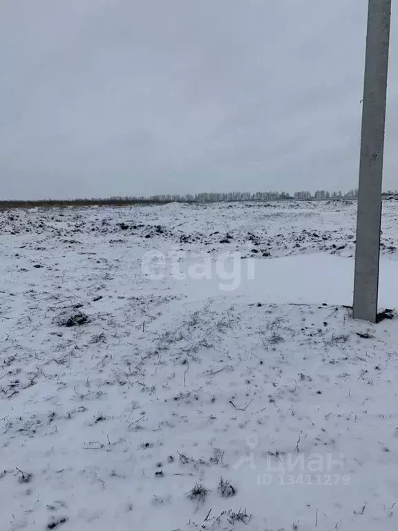 Участок в Белгородская область, Белгородский район, Головинское с/пос, ... - Фото 0