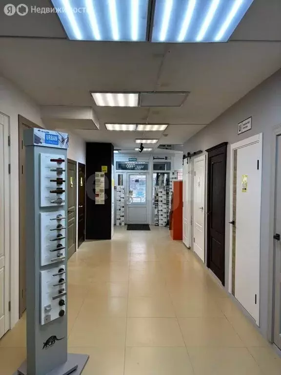 Торговая площадь (149.1 м) - Фото 2