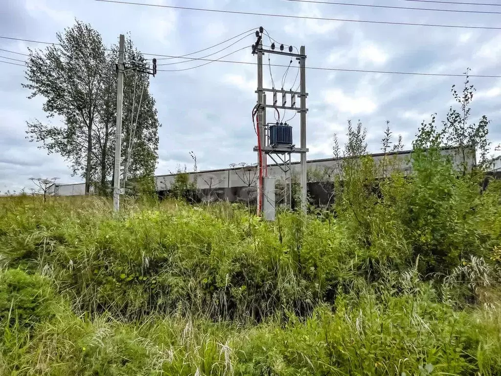 Участок в Ленинградская область, Всеволожский район, Бугровское ... - Фото 1