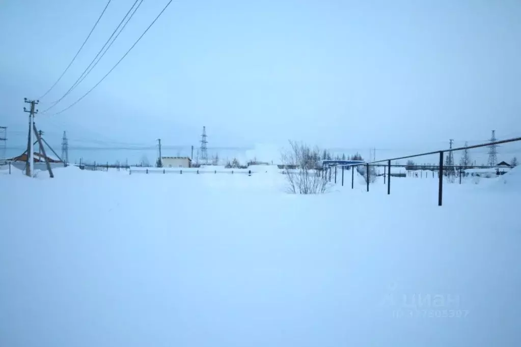 Участок в Ямало-Ненецкий АО, Новый Уренгой Северный Берег ДНТ, 7 (4.76 ... - Фото 1