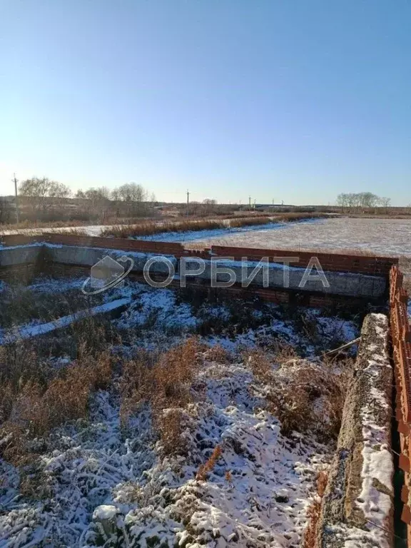 Участок в Тюменская область, Ишимский муниципальный округ, с. ... - Фото 2