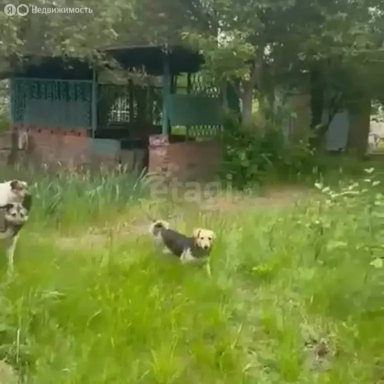 Дом в Верхнеподпольненское сельское поселение, хутор Алитуб, ... - Фото 1