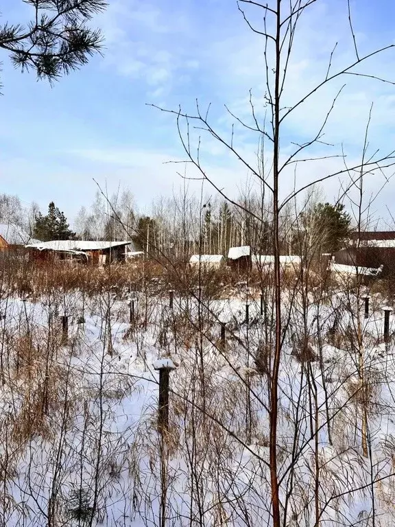 Участок в Свердловская область, Екатеринбург тракт Чусовской (8.5 ... - Фото 1