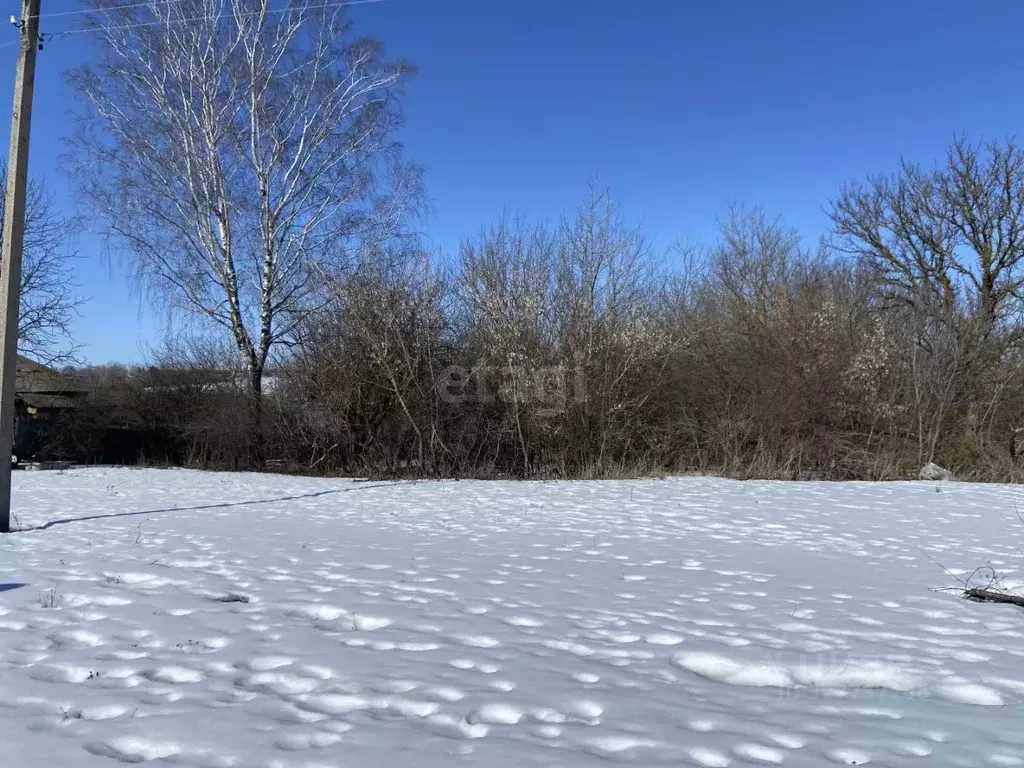 Участок в Курская область, Медвенский район, Амосовский сельсовет, ... - Фото 2