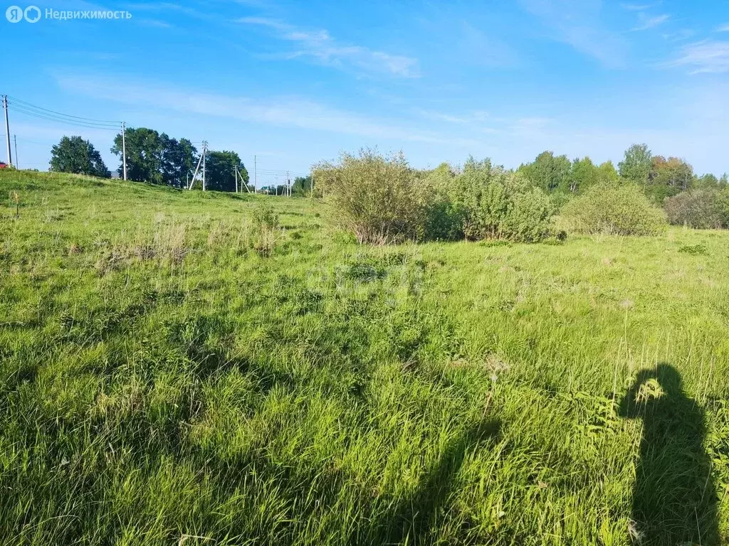 Участок в Тюменский район, деревня Большие Акияры (8.01 м) - Фото 1