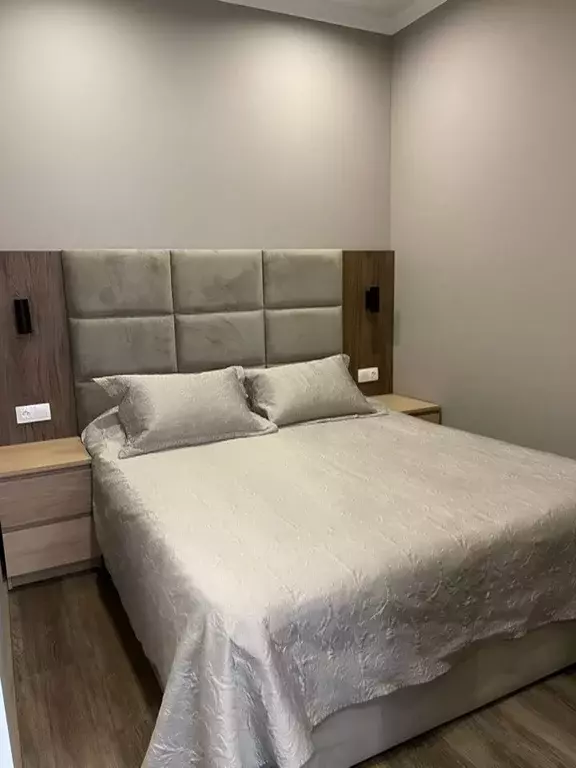 1-к кв. Краснодарский край, Сочи ул. Ленина, 219К (50.0 м) - Фото 2