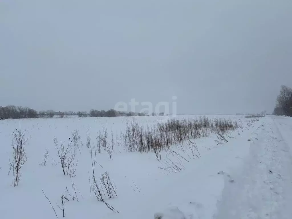 Участок, 14 сот., сельхоз (снт или днп) - Фото 0