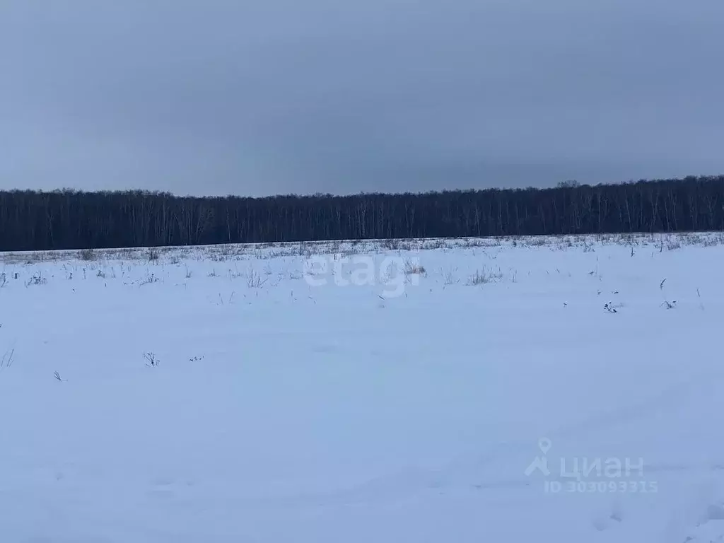 Участок в Московская область, Коломна городской округ, д. Шапкино  ... - Фото 1