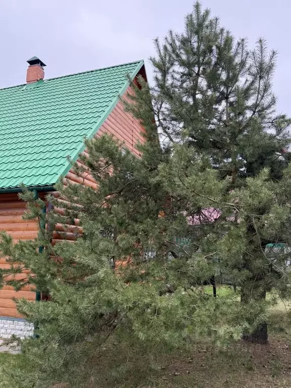 Дом в Московская область, Орехово-Зуевский городской округ, д. ... - Фото 2