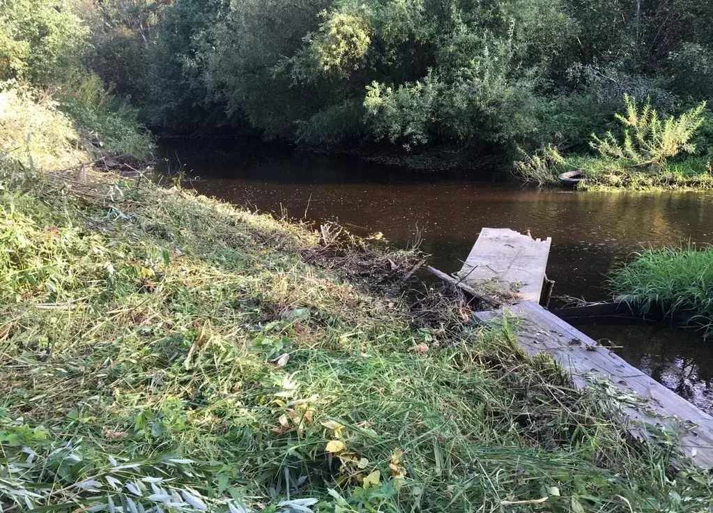 Участок в Свердловская область, Екатеринбург муниципальное ... - Фото 2