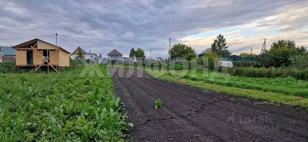 Участок в Новосибирская область, Новосибирский район, с. Ярково ... - Фото 2
