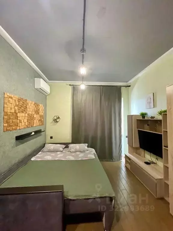 Студия Ростовская область, Ростов-на-Дону ул. Пановой, 30к3 (24.0 м) - Фото 1