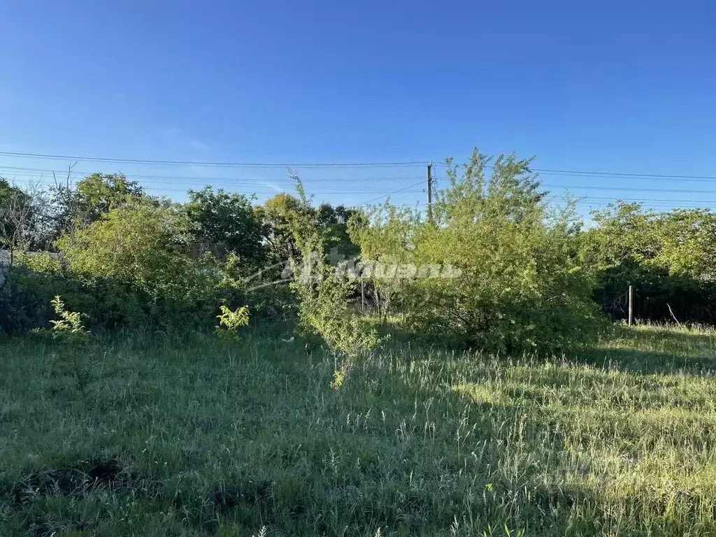 Участок в Крым, Симферопольский район, Чистенское с/пос, Родничок СПК ... - Фото 1